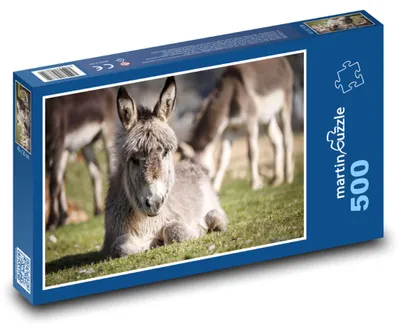 Produktbild von Puzzle 500 Esel auf der Wiese - martinpuzzle