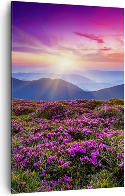Produktbild von Bild auf Leinwand - Leinwandbild - Einteilig - Wiese Berg Himmel Landschaft - 80x120cm - Wand Bild - Wanddeko - Wandbilder - Leinwanddruck - Wanddekoration - Leinwand bilder - Wandbild - PA80x120-2719