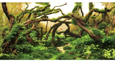 Imagen del producto de Fondo para acuario con ramas y plantas acuáticas, de 91x50 cm, para acuarios