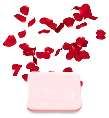 Produktbild von HOME DELUXE - Duftplättchen LIMA für Ionisator - Rose 3,5 x 2,2 cm I Sauna, Saunazubehör