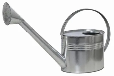 Image de SIENA GARDEN Arrosoir en zinc avec douchette, 7 l