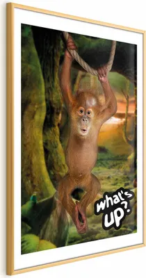 Produktbild von Posterpapier Poster - What's Up? 40x60 cm Für Kinder g-A-0203-ao-a