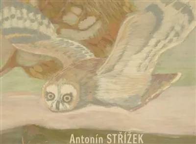 Obrázek produktu pro Antonín Střížek - Martin Dostál
