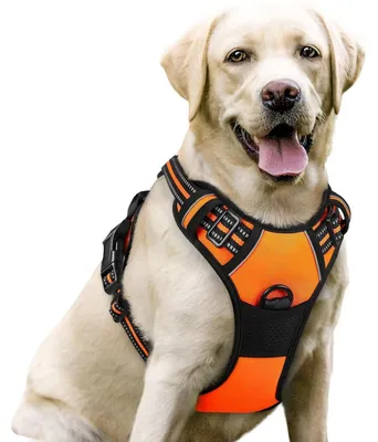Produktbild von Hundegeschirr Anti Zug mit Kontrolle, No Pull, Verstellbar, Atmungsaktiv, Reflektoren, Orange, Größe L