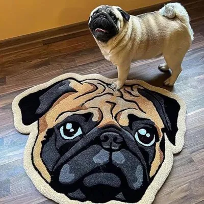 Produktbild von Hundebilderrugbekleidung - Gepersonalisiertes unregelmäßiges Bett für Hunde und Katzen - Erinnerungsgeschenk (60 * 60 cm)