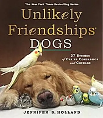 Produktbild von Unlikely Friendships: Dogs