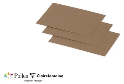 Obrázek produktu pro Pollen by Clairefontaine 29010C Pollen by Clairefontaine mini karta Kraft, 70 x 95 mm