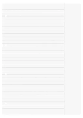 A sheet of lined paper with a margin on the right side and punched holes on the left.