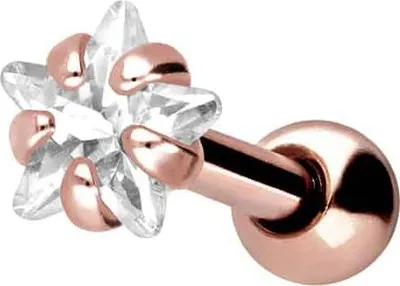 Produktbild von Ohrpiercing Chirurgenstahl Ohrpiercing KRISTALLSTERN