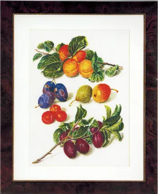 Obrázok produktu pre Krížiková súprava Thea Governor "Peaches and Plums Aida", počítaná, 33