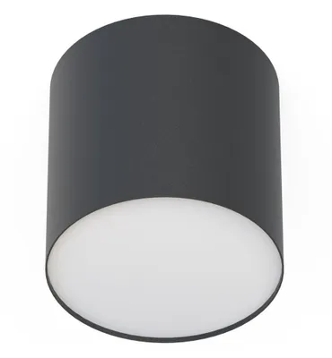 A dark gray cylindrical ceiling lamp with a white diffuser.