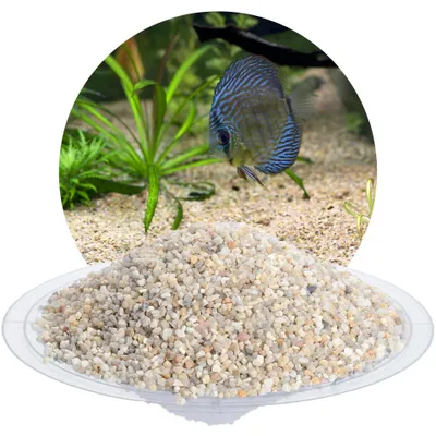Produktbild von Schicker Mineral-Aquariumkies beige 25 kg-2,0-3,15mm