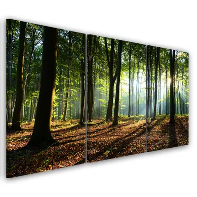 Produktbild von Triptychon auf leinwand grüne landschaften 90x60 cm Feeby grün wandbild bereit zum aufhängen