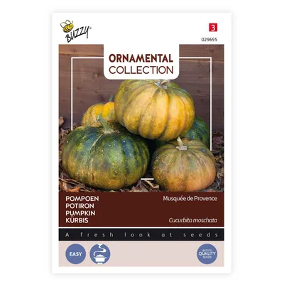 Image de Buzzy Ornamental Calebasse Musquée de Provence Graines - Environ 1,5 gr | Buzzy_029695