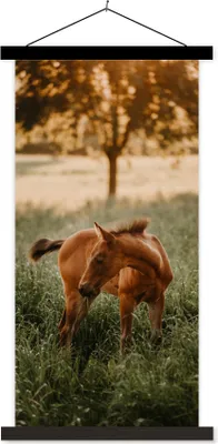 Produktbild von MuchoWow® Textilposter Pferd - Gras - Baum 90x180 cm mit schwarzem Rahmen - Dekoration Wohnzimmer