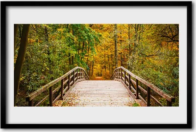 Produktbild von Bild 60x40 MDF-Rahmen Wandkunst Wald-Bridge-Architektur
