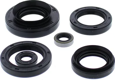 Immagine prodotto di Set di fasce elastiche motore WINDEROSA W822881