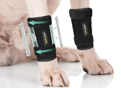 Productafbeelding van Lyderpet voorpootverband voor honden, biedt ondersteuning, polsverband, voorkomt blessures
