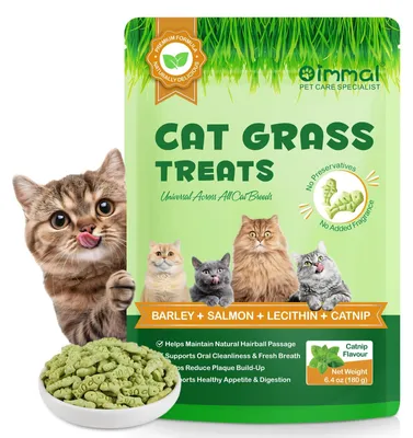 Produktbild von Katzenminze Snacks für Zahnpflege und Verdauung