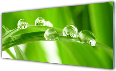 Produktbild von Acrylglasbilder 125x50 Wandbild Druck Blätter Pflanzen