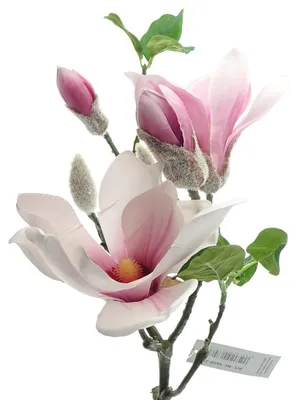 Produktbild von DEKO® FLORALE Magnolienzweig Rosa 75 cm - Kunstblumen