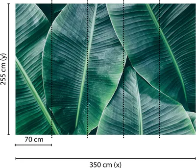 Produktbild von Tadessi Fototapete | Natur | 3.50 m x 2.55 m | Grün |  | Wandbild | Digitaldruck