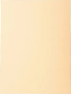 Image de Exacompta Forever - Chemises DIN A4 couleur sable, 100 pièces, carton recyclé 250 g