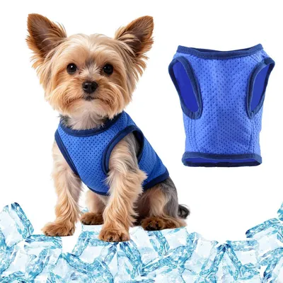 Produktbild von Kühlweste Hund Blau Atmungsaktiv Leicht Sommer S