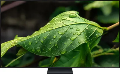 Produktbild von Samsung 55" Neo QLED QN74F 4K Vision AI Smart TV (2025), 139,7 cm (55"), 3840 x 2160 Pixel, Neo QLED, Smart-TV, WLAN, Schwarz