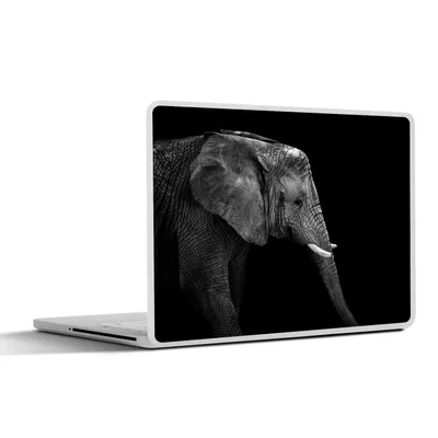 Produktbild von MuchoWow® Laptop Aufkleber Sticker Cover Elefant - Schwarz und weiß - Porträt - Tiere 30x22 cm - Laptop-Sticker