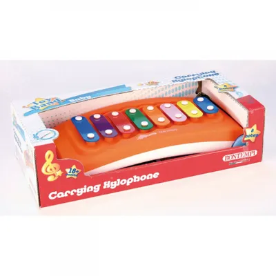 Immagine prodotto di Bontempi Xilofono Con Ruote
