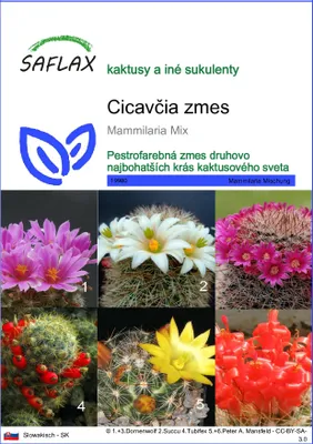 Obrázok produktu pre SAFLAX - Cicavčia zmes - Mammilaria Mix - 40 Semená