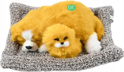 Immagine prodotto di cane su cuscino 27 cm figurina decorativa