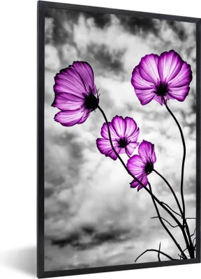 Produktbild von MuchoWow® MuchoWow® Gerahmtes Poster Blumen - Schwarz - Weiß - Lila 60x90 cm - Poster mit zchwarzem Bilderrahmen - Kunst