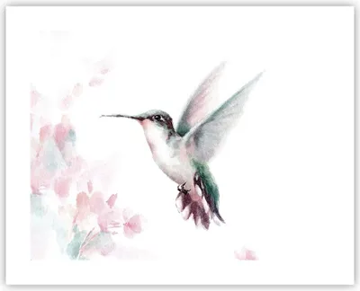 Produktbild von Poster - Poster ohne Rahmen - Kolibri Aquarell Licht - 50x40 cm - Wand Bild - Wanddeko - Wandbilder - Kunstposter - Wandposter - Bilder - Kunstdruck - Wanddekoration - Wandbild - P2XAA50x40-4518