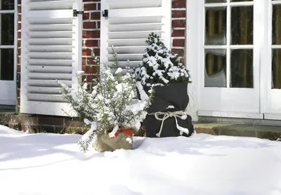 Produktbild von Videx Winterschutz Winterschutzmatte 'Jute-Filz' H50xL150 anthrazit
