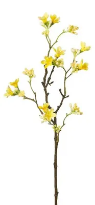Produktbild von künstlicher Scheinquittenzweig H. 51cm gelb GASPER Kunstblumen WA