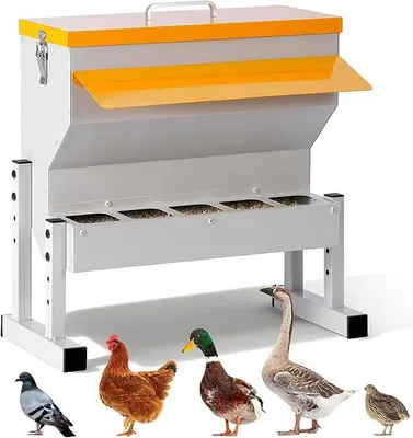 Image de Distributeur de nourriture métallique pour poulets, avec pieds, pour plusieurs poulets | Distributeur de nourriture automatique pour volailles, poules et canards, à suspendre, robuste et facile à nettoyer