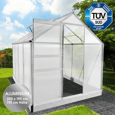 Produktbild von BRAST Gewächshaus Aluminium mit Fundament rostfrei 6mm Platten 250x190x195cm Silber -
