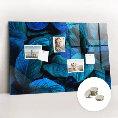 Obrázek produktu pro Magnetická Tabule na Zeď Skleněná - Memo Board Kleněnou Přední Stranou - 5 magnetů v balení - 90x60 cm - Tropická příroda