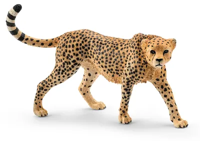 Produktbild von Schleich Wild Life Gepardin, Spielfigur