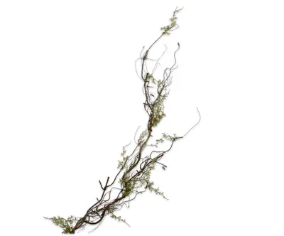 Produktbild von Silk-ka Kunstblume - Seidenblume Holzzweig grün 142 cm