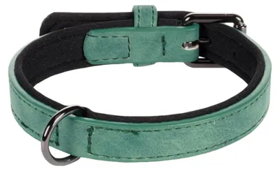 Image de Collier pour chien avec doublure néoprène