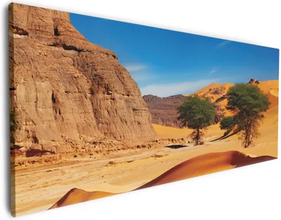 Produktbild von Wallario Premium Leinwandbild In der Wüste Sahara in Größe 50 x 125 cm