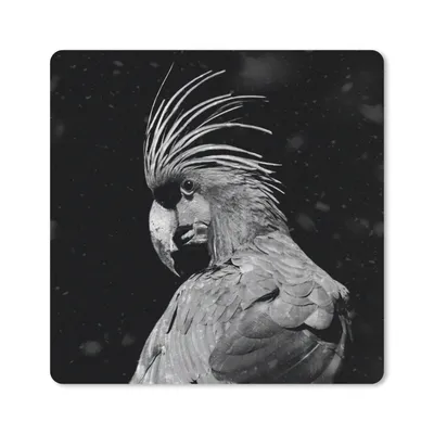 Produktbild von MuchoWow® Mauspad Mousepad Porträt eines Goldkakadus auf schwarzem Hintergrund - schwarz und weiß 30x30 cm - Mousepads - Maus Mat - Pad - Mausunterlage - Gaming