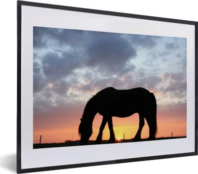 Produktbild von MuchoWow® MuchoWow® Gerahmtes Poster Pferde - Sonne - Wiese 40x30 cm - Poster mit zchwarzem Bilderrahmen - Bilderrahmen - Poster im Rahmen