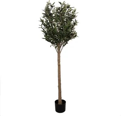 Zdjęcie produktu dla Clayre & Eef Sztuczne drzewko oliwne 165 cm Zielony Plastik