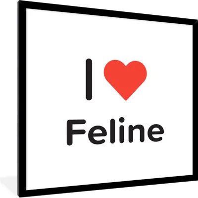 Produktbild von MuchoWow® Gerahmtes Poster Ich liebe - Feline - Mädchen 40x40 cm - Poster mit Schwarzem Bilderrahmen Wandposter Rahmen Foto Bilder - Mit Rahmen - Wanddekoration Schlafzimmer