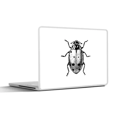 Produktbild von MuchoWow® Laptop Aufkleber Sticker Cover Vintage - Marienkäfer - Insekten - Schwarz und weiß 30x22 cm - Laptop-Sticker