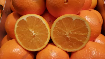 Image de Citrus sinensis greffé sur Volkameriana / Oranger